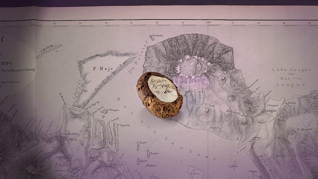 Vulkanausbruch bewirkt ein „Jahr ohne Sommer“